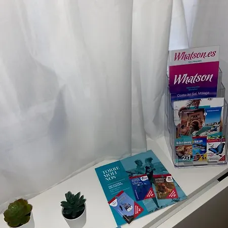 La Carihuela 公寓 托雷莫利诺斯